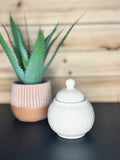Sugar Bowl- White